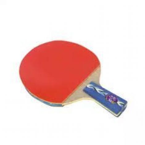 Double Fish 5A Offensive Long Handle Table Tennis Racket